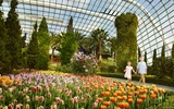 Thumbnail: Gardens by the Bay